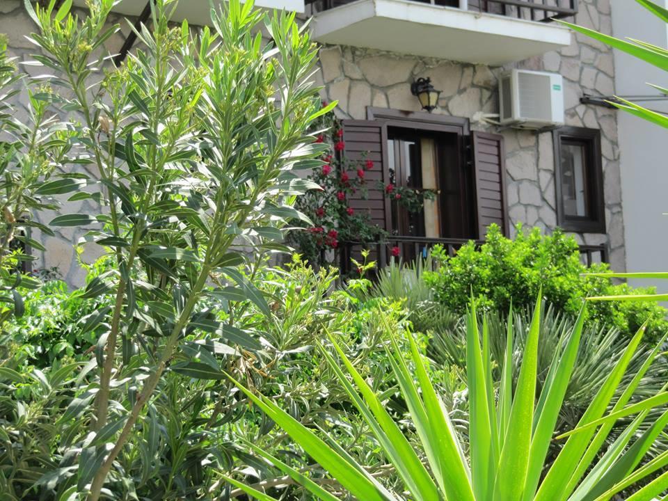 Islands Apartments ペトラ エクステリア 写真