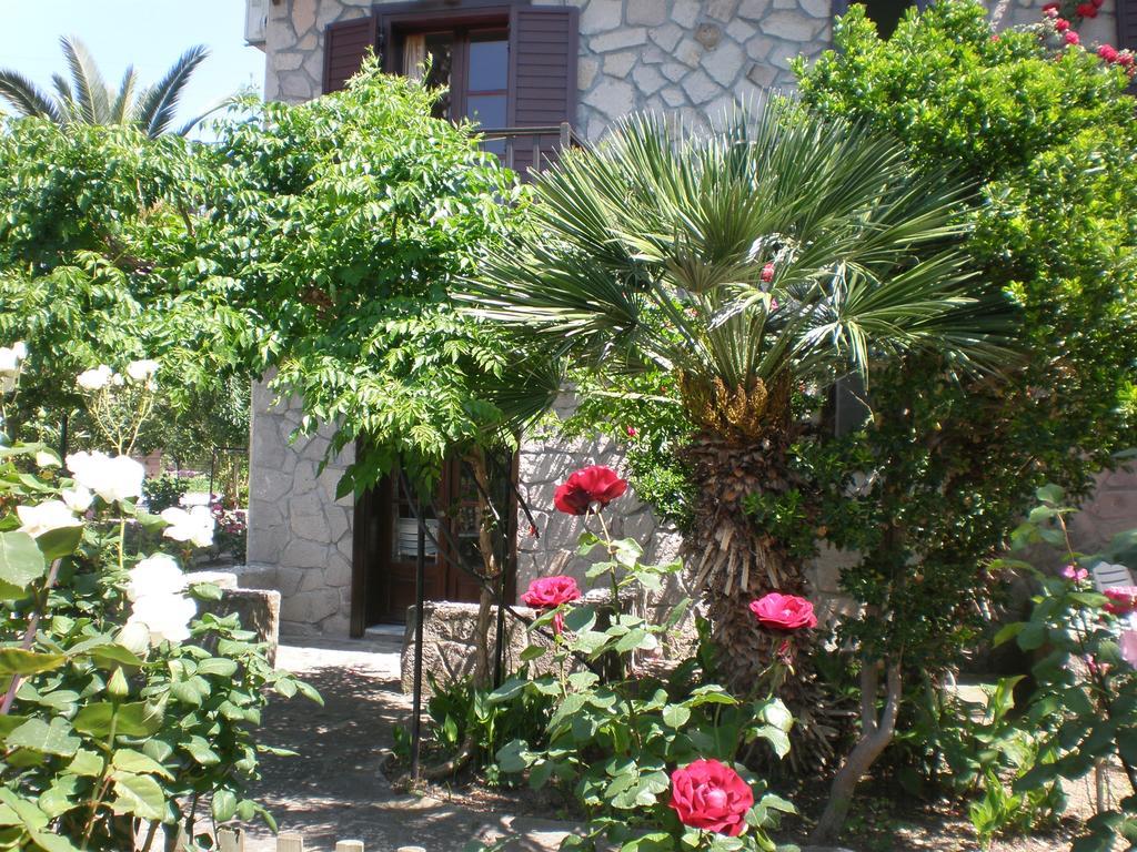 Islands Apartments ペトラ エクステリア 写真